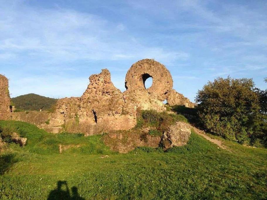 Gite Le Bambou Jama Aspach-le-Haut Exterior photo