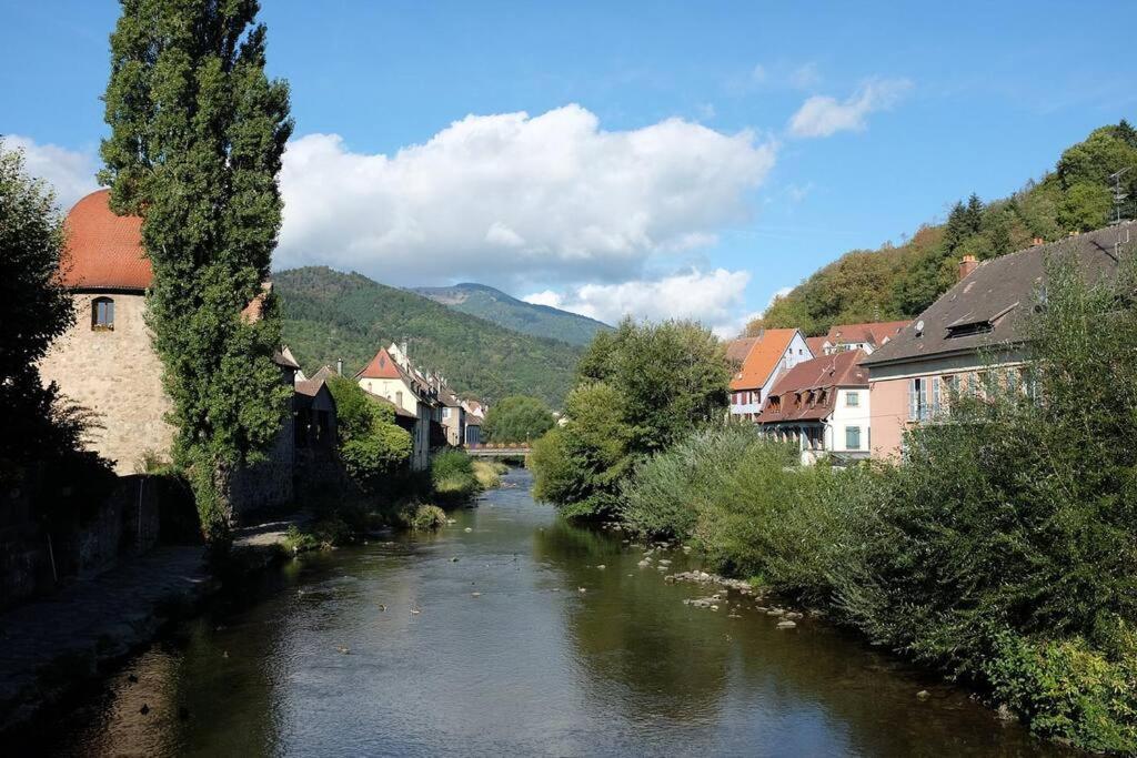Gite Le Bambou Jama Aspach-le-Haut Exterior photo